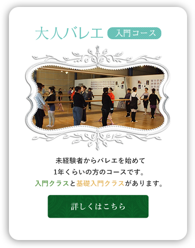 未経験者からバレエを始めて1年くらいの方のコースです。入門クラスと基礎入門クラスがあります。