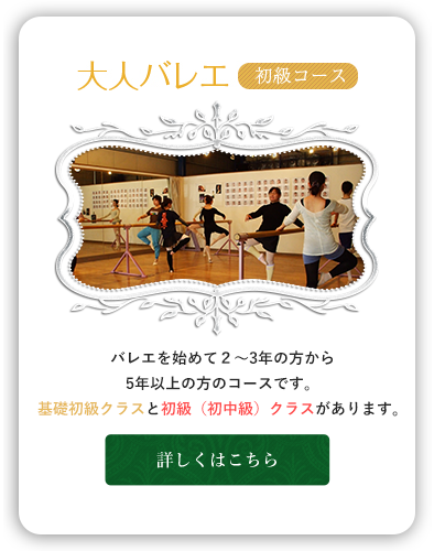 バレエを始めて２～3年の方から5年以上の方のコースです。基礎初級クラスと初級（初中級）クラスがあります。